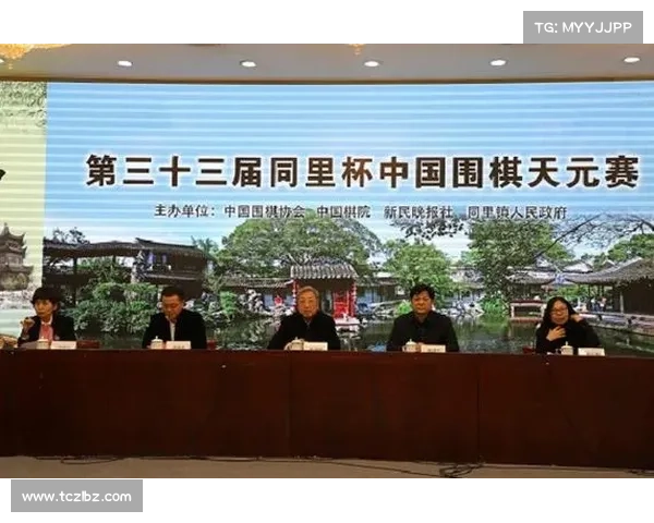 天元围棋赛事精选2013年 天元围棋赛事精选2013年
