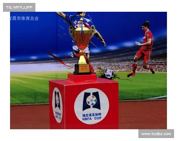 2018足协杯赛事2018年足协杯决赛视频