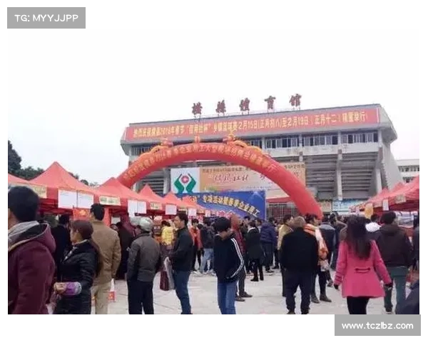 横县体育赛事 横县体育赛事盛大举行点燃全民运动激情共创健康美好未来